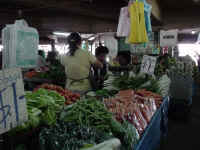 De Municipal Market in Suva, wat hebben ze veel keus!!!